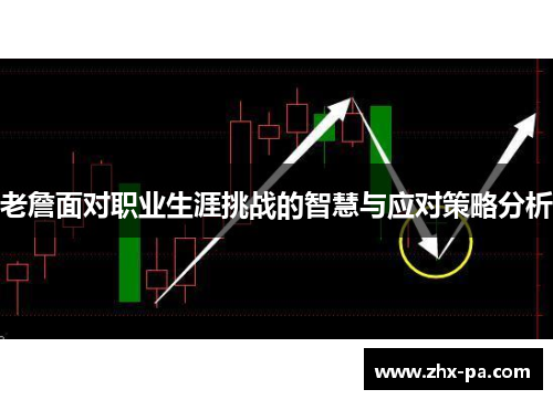 老詹面对职业生涯挑战的智慧与应对策略分析 老詹面对职业生涯挑战的智慧与应对策略分析