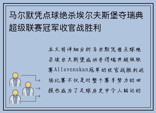 马尔默凭点球绝杀埃尔夫斯堡夺瑞典超级联赛冠军收官战胜利